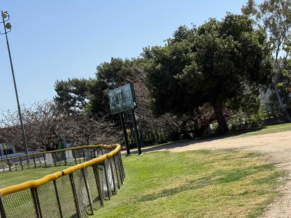 Park landscaping